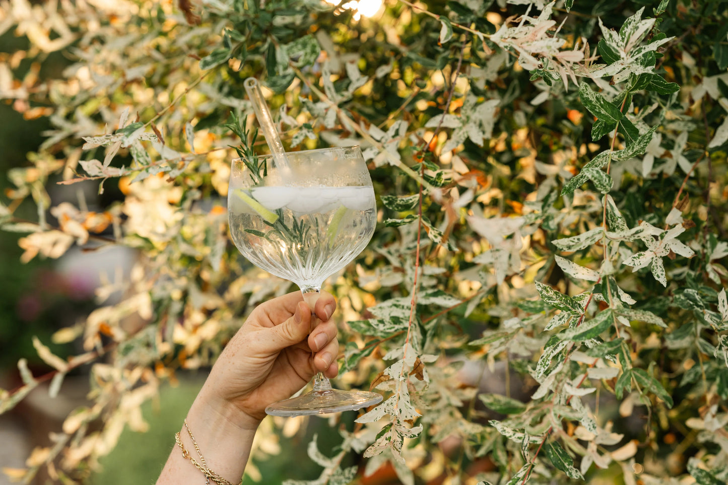 The Art of Alpine Botanicals: A Journey Through Le Botanique's Swiss Heritage - Bel Nada 
