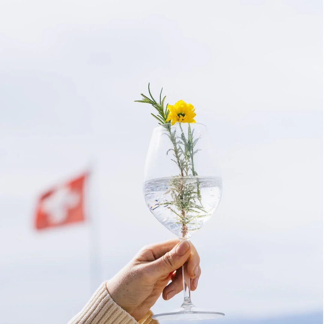 
                  
                    LE BOTANIQUE | Alcohol-Free Gin Alternative │ Swiss Botanical Spirit - Bel Nada 
                  
                